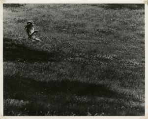 Child in field of flowers