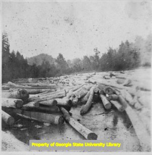 Transporting logs, C. J. French collection