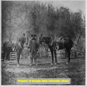Man with two horses, C. J. French collection