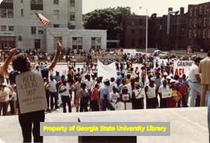 Crowd at Solidarity Day march in Atlanta