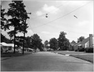 Lynn Haven Drive SW; #401