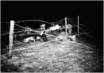 Georgia State National Guard maneuvers