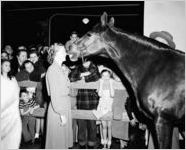 "Gallant Bess" publicity event