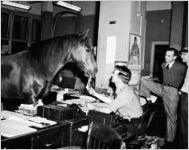 "Gallant Bess" publicity event