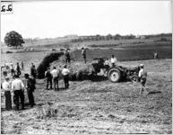 Cattle Day; Athens, Georgia