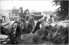 Tractor and farmers with harvested and baled hay, Georgia, 1930s