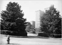 Hurt Park