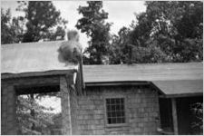 Squirrel resting on the roof of a chicken coop, Georgia, 1930s