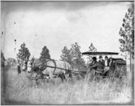 Hunting party in a mule drawn wagon/carriage, Georgia, 1926