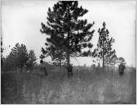 Bird hunters, Georgia, 1926