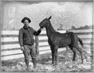 Man holding a mule in a barnyard, Georgia, 1931