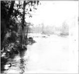 Ichauway-Nochauway Creek/Flint River, Baker County, Georgia, 1931