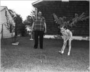 Dillard Paper Company family, 1954