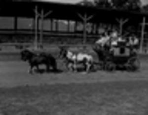 Children riding on horse drawn carriage during a horse show, 1950
