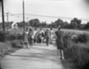 African Americans on their way to cast their vote for the first time, 1946