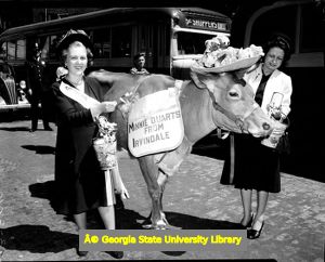 Two individuals pose with Irvindale's "Minnie Quarts" dairy cow, 1940s