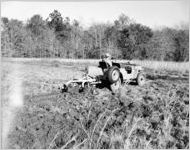 Farm scene
