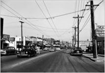 Gordon Street and Evans Street area