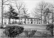 Ponce de Leon