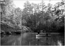 Spalding Drive