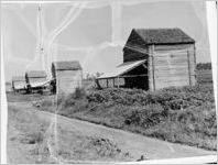 South Carolina Scene (tobacco barns)