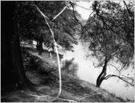 Piedmont Park