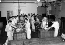 University of Georgia scene, 1946
