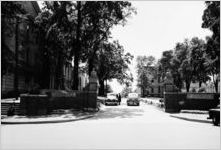University of Georgia scene, 1946