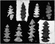 Vann House (Native American relics)