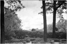 Unidentified scene, Georgia