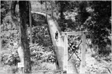 Footbridge, Silver Springs, Florida, 1938