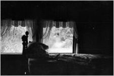 Bedroom window, Silver Springs, Florida, 1938