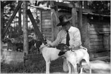 South Carolina Senator Ellison DuRant Smith, "Cotton Ed" Smith with hunting dogs, South Carolina, 1938.
