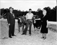 Prize winning livestock