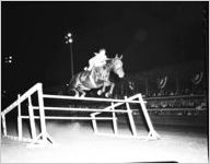 Fulton-DeKalb County Horse Show
