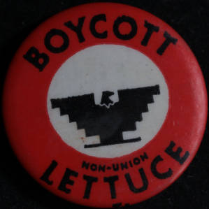 Button: "Boycott Non-Union Lettuce"