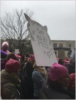 Very Angry Pussy sign, Women's March on Washington, 2017-01-21