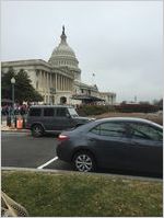 Protesters gathered in front of the Capitol building, Women's March on Washington, 2017-01-21