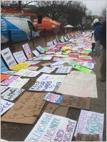 Long row of signs on the ground, Women's March on Washington, 2017-01-21