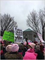 The Climate Is Changing, Why Aren't We? and Feminism: the Radical notion that Women are People, Women's March on Washington, 2017-01-21