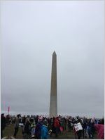 Crowd of protesters with the Washington monument in the background, Women's March on Washington, 2017-01-21