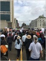 We Will Not Go Quietly Backwards, Thanks Trump, You Turned Me Into An Activist, and other signs, Atlanta March for Social Justice and Women, 2017-01-21