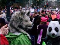 Protesters in wolf and panda masks, Women's March on Washington, 2017-01-21