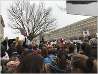 Climate change, People over Profit and other signs, Women's March on Washington, 2017-01-21