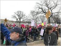 Love Not Hate Makes America Great, I Reject Misogyny, Racism etc., and I Can't Believe I'm Still Protesting signs, Women's March on Washington, 2017-01-21