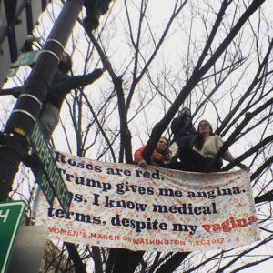 Protesters sit in tree with sign