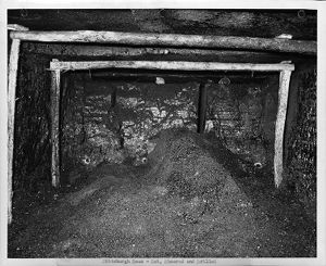 Coal seam cut, sheared, and drilled in Mine No. 32, of the Pittsburgh Consolidation Coal Company, 1951-05-03