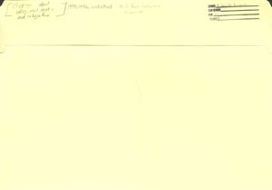 Clippings about voting, civil rights, and integration, 1955-1956, undated