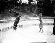Pony, Track