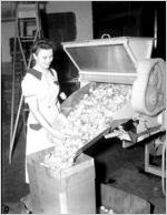 Gordon Potato Chips factory (image 1 of 5)